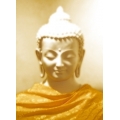 The Path To Inner Peace (Sat 8th June - East Grinstead) The Path To Inner Peace (Sat 8th June - East Grinstead)